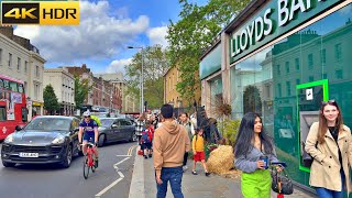 London&#39;s Chelsea in Bloom 2023🌺Floral Displays in Kings Road and Belgravia | 4K HDR Walking Tour