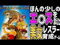 【レトロゲームゆっくり解説】スーパーレッスルエンジェルス【スーパーファミコン】【SFC】