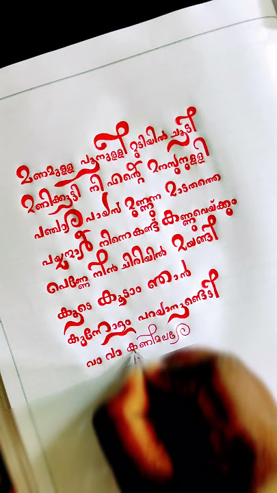 പെണ്ണേ നീ ചിരിയിൽ മയങ്ങി ♥️✍🏻