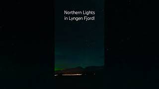 Northern Lights in Lyngen Fjord near Tromso!