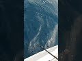 タラ釣り中にクロマグロがヒットした結果…【北海道・日本海】