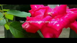 Download Lagu Hubungan jarak jauh - long distance relationship - pejuang ldr Download Lagu Hubungan jarak jauh - long distance relationship - pejuang ldr