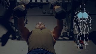 Dumbbell Fly Press