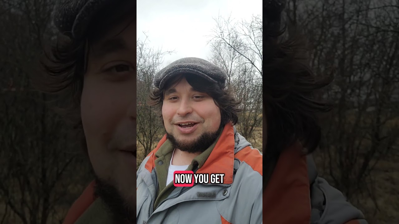 Update, I'll be posting Icelandic bufs and birds 