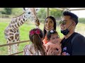 VISITAMOS UN SAFARI | SOFI ES ATACADA POR CERDOS BEBÉS | LA FAMILIA NIÑO