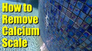Pool Help 1 ● Remove Calcium Scale and Mineral Deposits From Water Features and Tile Line ✅