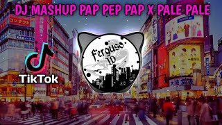 DJ PAP PEP PAP X PALE PALE MASHUP 🔈🔉🔊 | Ferguso ID