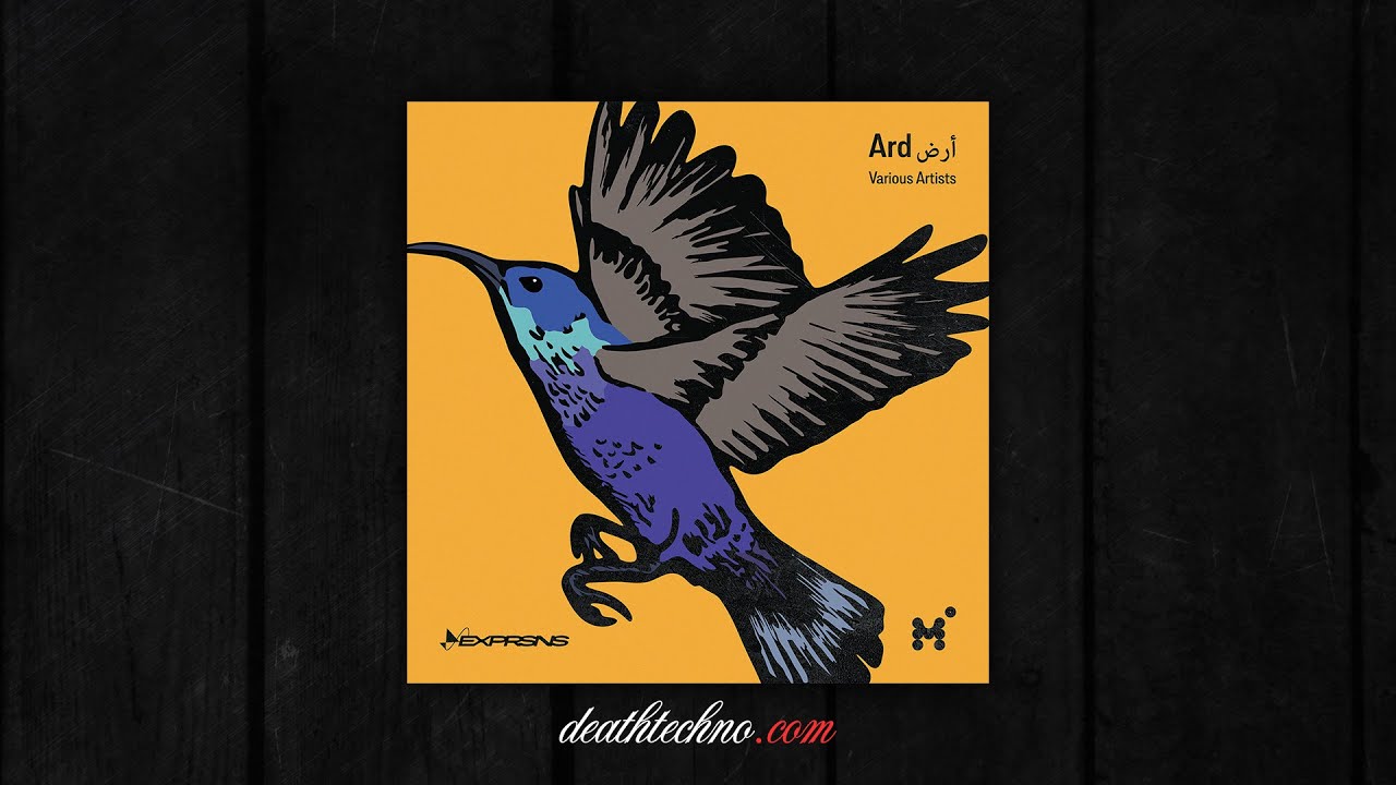 DT:Premiere | R3D - Jungle in Ploto [Expressions]