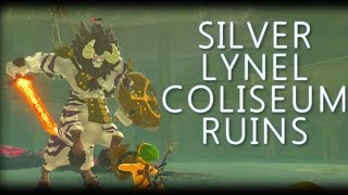 Coliseum Ruins Silver Lynel: Mini Boss Fight - BOTW