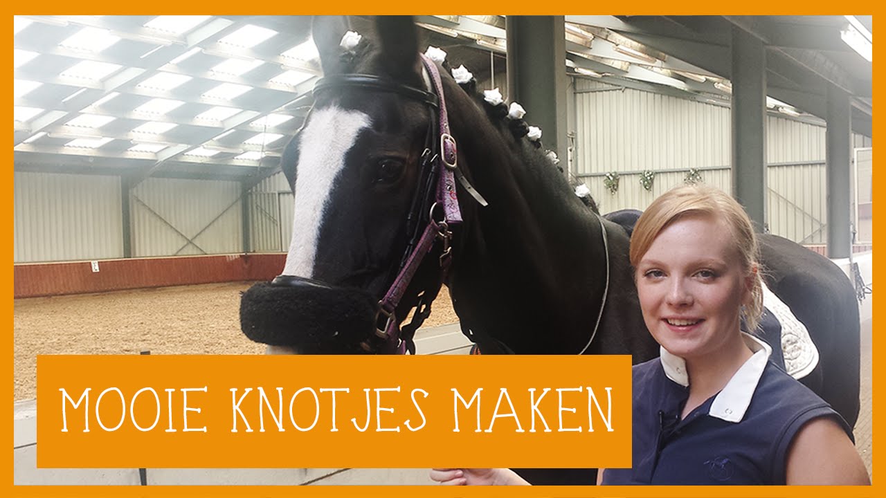 Mooie knotjes maken PaardenpraatTV YouTube