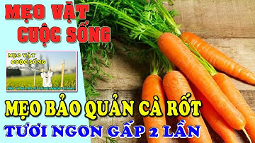 Mẹo Vặt Cuộc Sống: Mẹo bảo quản cà rốt tươi lâu và ngon gấp 2 lần