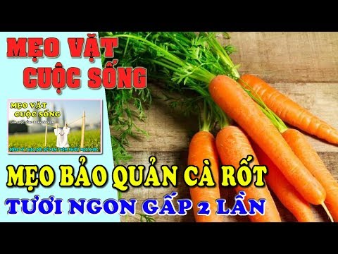 Video: Cách Bảo Quản Cà Rốt Trong Hầm Vào Mùa đông