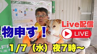 物申す❗️Live  皆んなで意見交換
