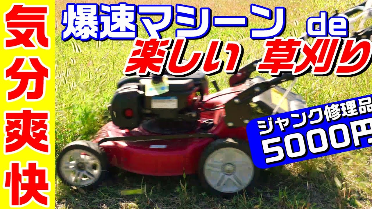 Easy grass cutting with a lawnmower GreenMaster Grass Cutting