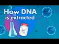 A Demo of how DNA is extracted from impurities using magnetic spheres | Reagent Magnoferr