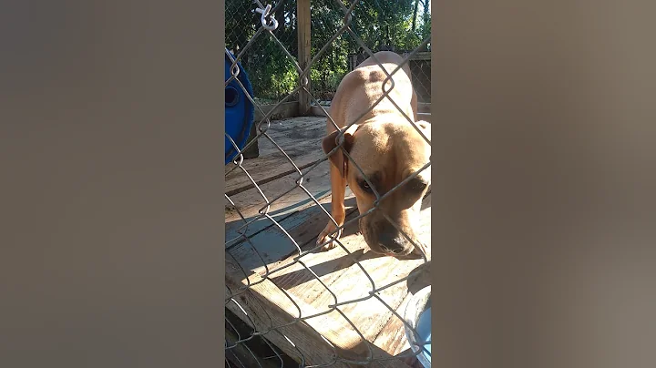 Starting From Scratch Global"Live" Morning Motivation#apbtlove#