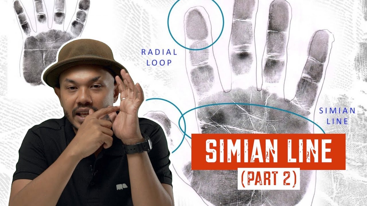Simit Line Simian Line (Part 2) - YouTube