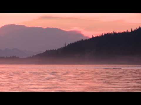 Nature Beauty Moment - Juneau, Alaska