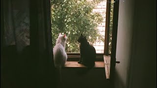 'mama, i am that rich man'