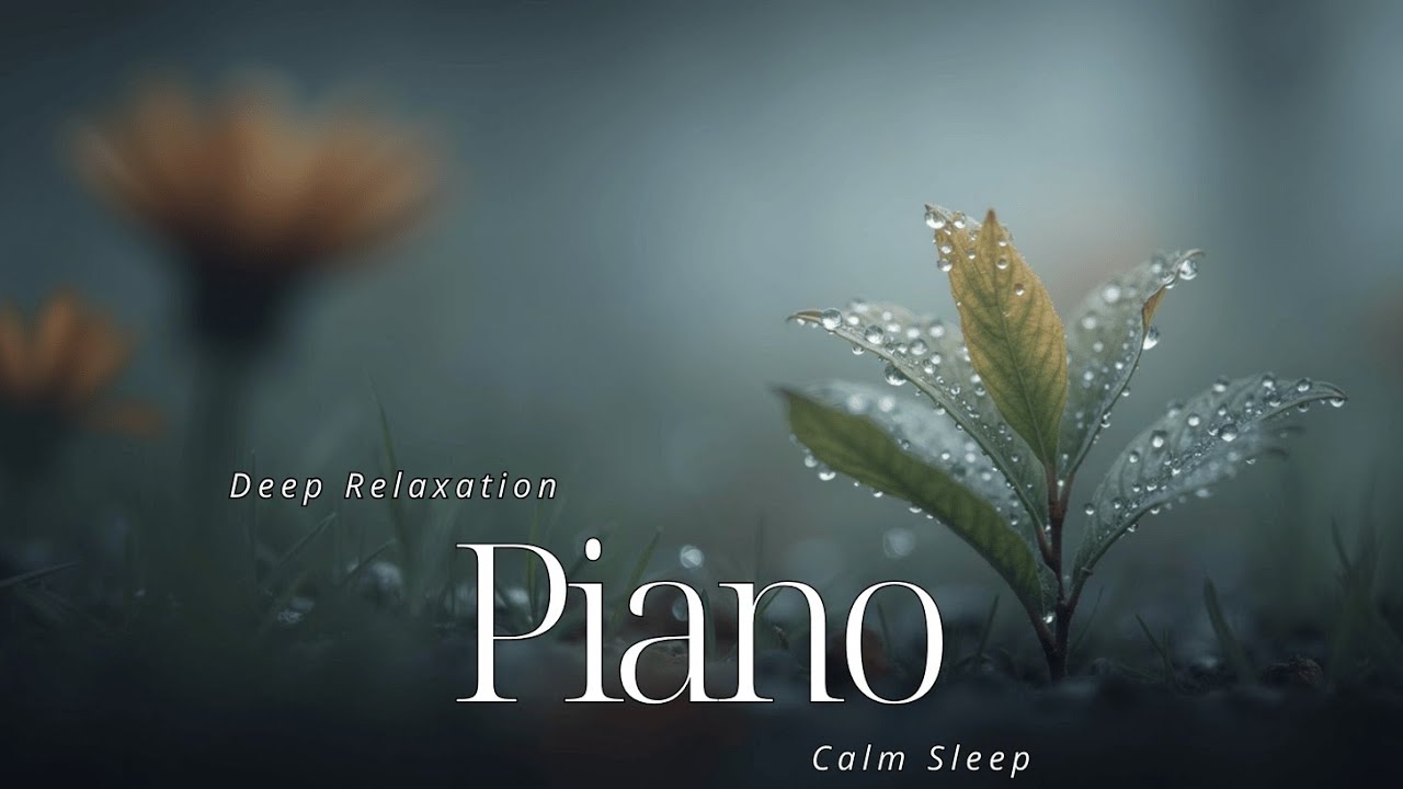 Soothing Piano Melodies for Deep Relaxation & Stress Relief ~ Calm ...