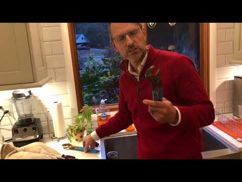 Video: Fixing a Loose Kitchen Faucet base, by Dads Know How