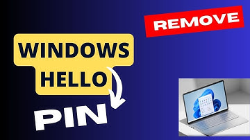 Kan Windows Hello PIN niet verwijderen? Herstel de grijze knop in Windows 11