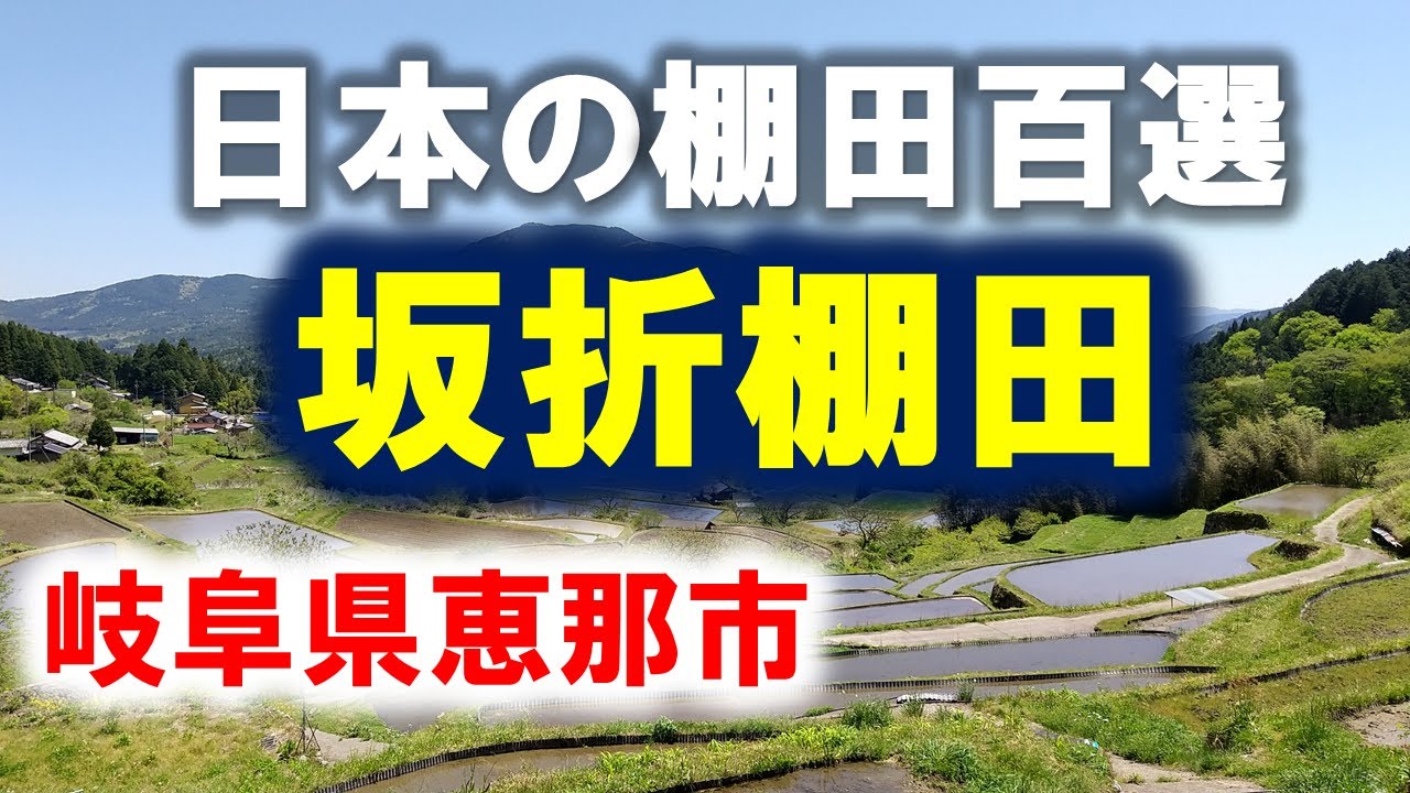 【日本の棚田百選】坂折棚田◆岐阜県恵那市中野方町◆2023.04.27 / A terraced rice field in Gifu pref. #棚田