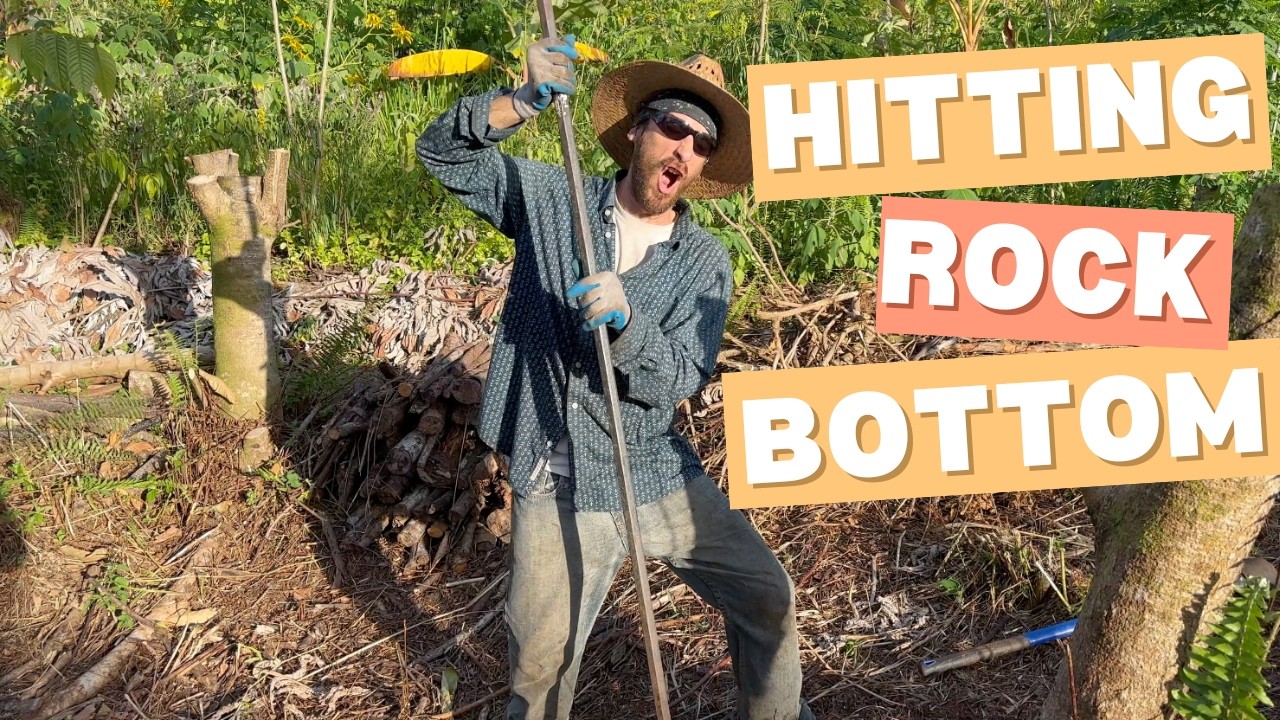 Planting trees in rocks! Syntropic Agroforestry