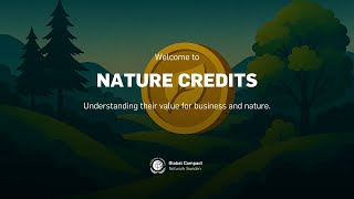 Nature Credits: Understanding their value for business and nature