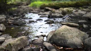 Creek