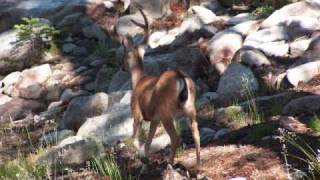 TROOP 121 PROMO VIDEO