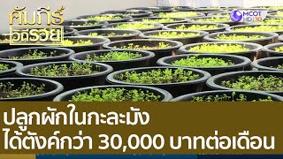 ปลูกผักในกะละมัง ได้ตังค์กว่า 30,000 บาทต่อเดือน : คัมภีร์วิถีรวย (12 ก.ค. 65)