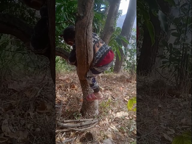 ye dekho aajkal ke bachche #viralshorts #viral #village