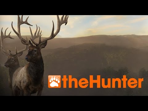 The Hunter Classic прохождение - путь новичка #1.