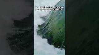 ABESE SURESİ #shorts #shortvideo #kuranıkerim #kuranmeali #kuran #meal #ayet #amin