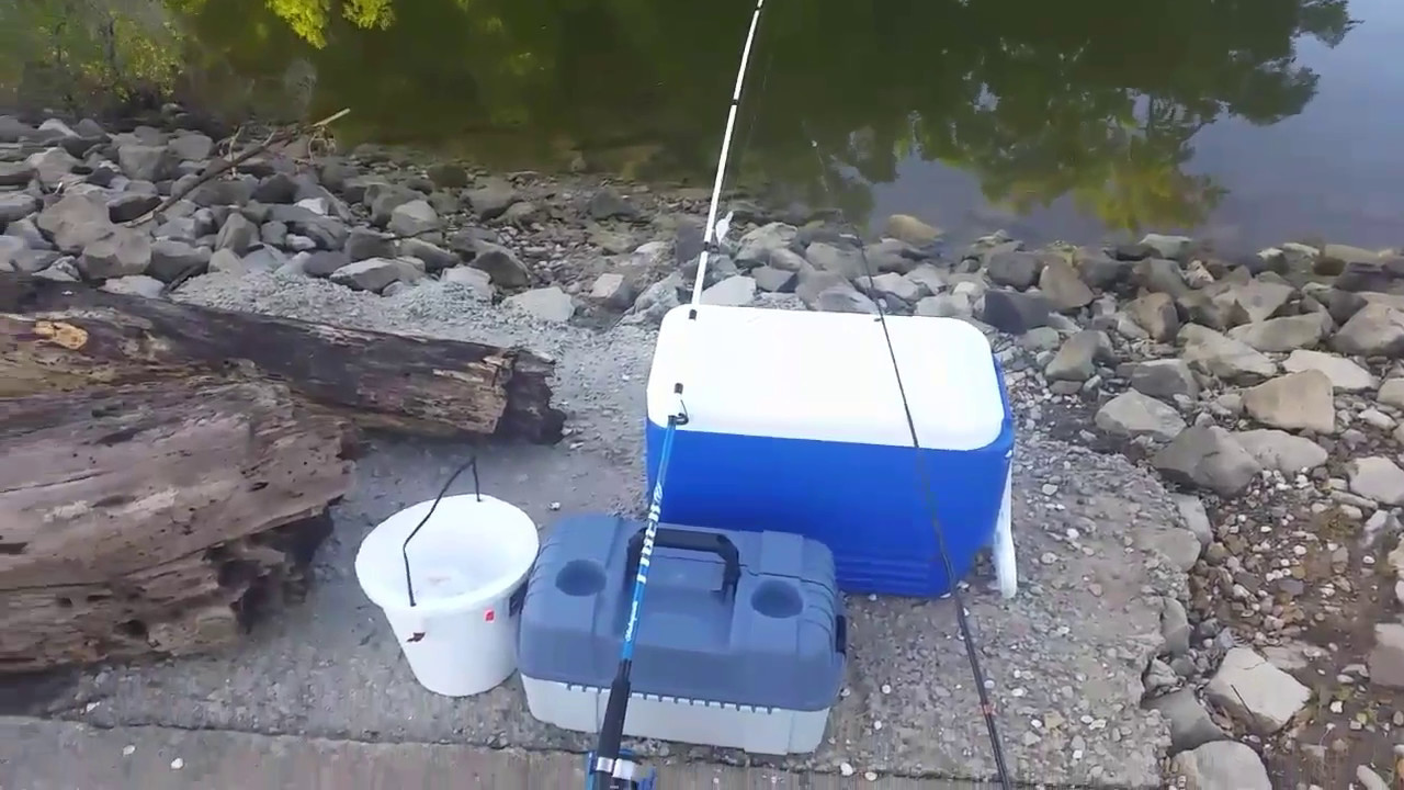 Fishing for Bluegill to Stock My Pond YouTube