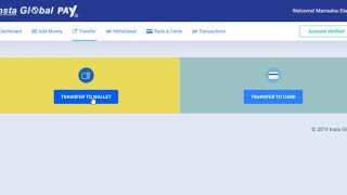 INSTA GLOBAL PAY VERIFIED ACCOUNT SENDING METHOD screenshot 2