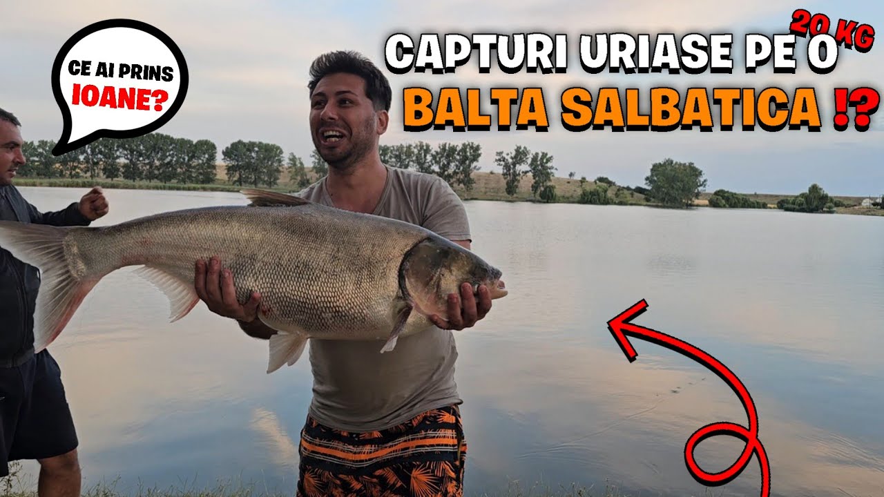 PAUZA CU CASUTA COPILĂRIEI SI PLECAM LA PESCUIT