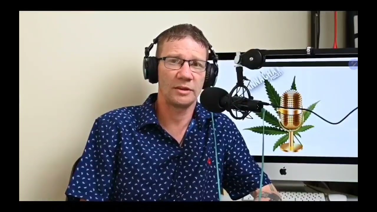 Cannachat shorts 7