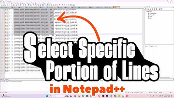 How to Select Specific Portion of Lines in a Notepad++