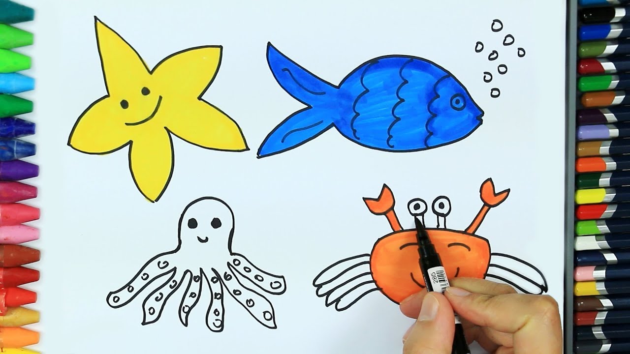 Cómo dibujar animales marinos - Cómo dibujar y colorear los para niños -  YouTube