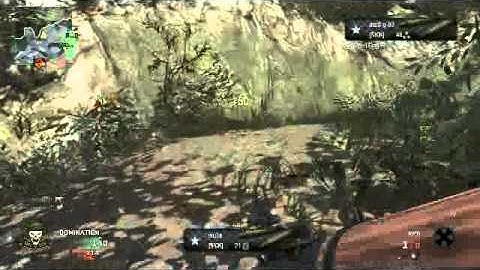 Black Ops- attack dogs