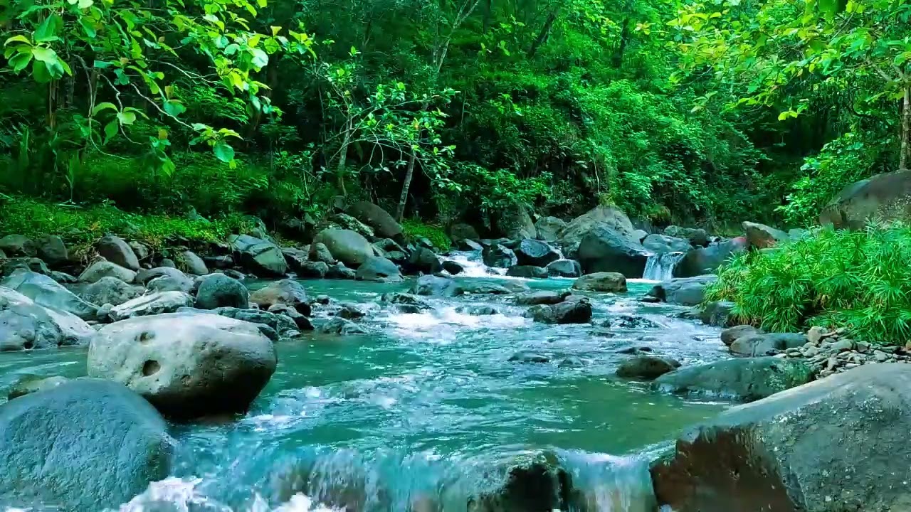 Beautiful Flowing Stream - Soothing Nature ASMR for Sleep, Focus and Relaxation, ASMR