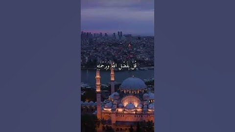 واتس اب قران كريم القارئ عمر الدريويزسوره يونس #quran_karim_قران_الكريم