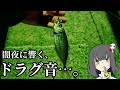 漁港で釣れたアジを泳がせたら、大物がきちゃ!