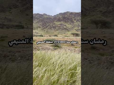 منطقة المنيعي سنة 2024