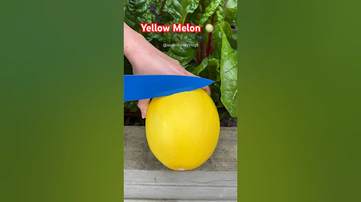 Let's Try Canary Melon 🍈😱 #shorts #fruit #s#melon #fruitcutting #garden