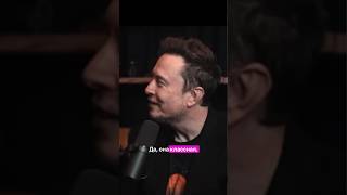 Вставка из камня теперь в одной плоскости со стеной! Это Магнитный плинтус!
