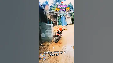 Puri Delang Toka Viral Reels Video New Delang Trending 