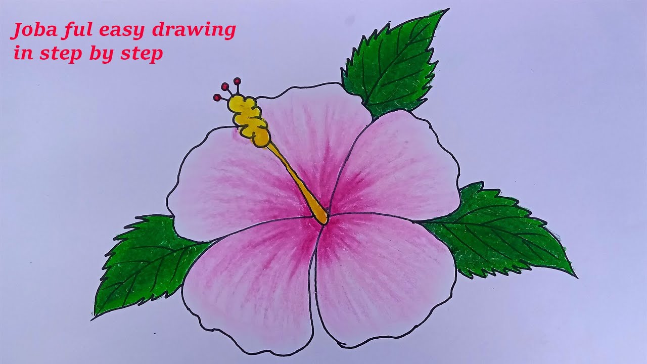 সহজে জবা ফুল আঁকা শিখুন/ Joba ful drawing easy in step by step/Hibiscus ...